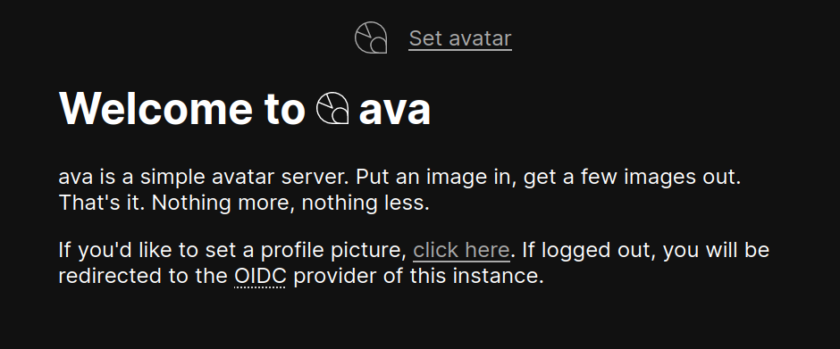 Screenshot of the ava homepage